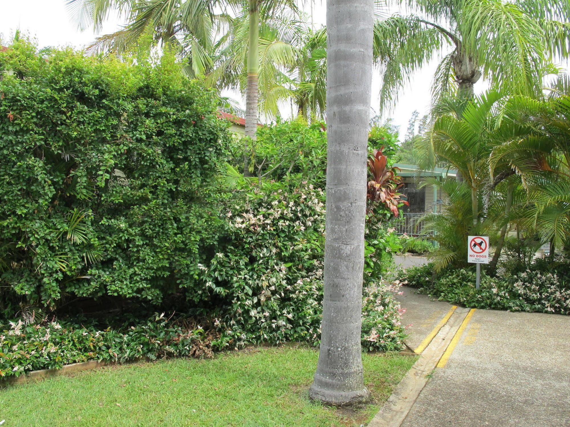 Melaleuca Caravan Park Port Macquarie Exteriör bild